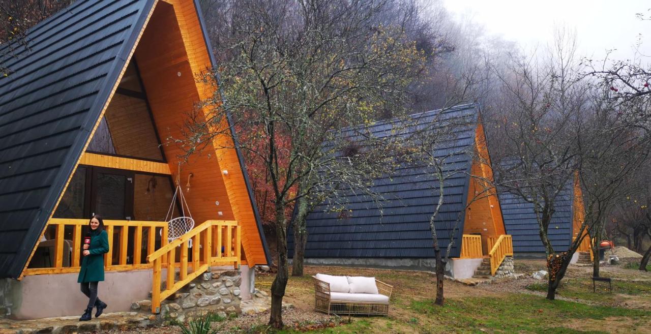 Casa - Cabana Tip A Frame, Cerna, Vaideeni, Valcea Cerna  Bagian luar foto
