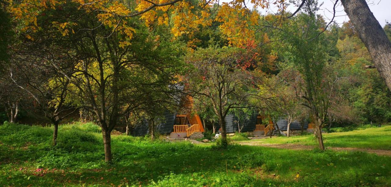 Casa - Cabana Tip A Frame, Cerna, Vaideeni, Valcea Cerna  Bagian luar foto